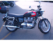 TRIUMPH T100
